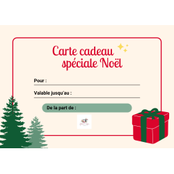 Carte cadeau 100€